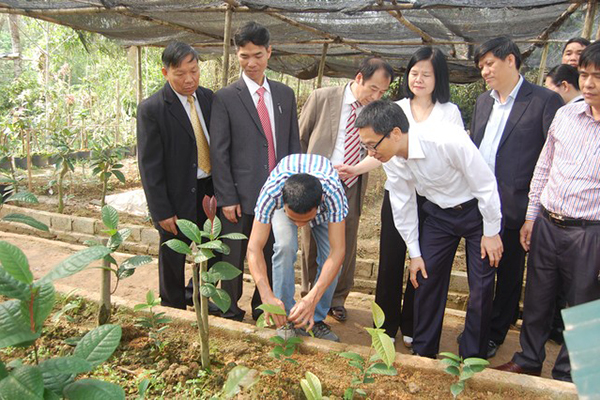 CÔNG TY CỔ PHẦN NÔNG DƯỢC TAM ĐẢO